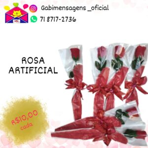 Rosa Artificial